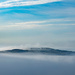 Misty Mousa