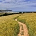 My favourite walk