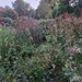 IMG_20250714_211641