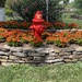 Keeping the fire hydrant company