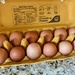 A Dozen Eggs, A Dozen Tones