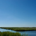 Wetlands
