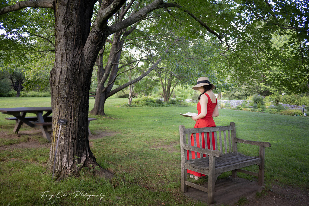 Day194 by aprilfengchaigmailcom