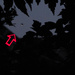 FireflyInFlightFromVideoFrame-1