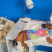 Sewing Cats and Dogs