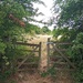 Wooden Gate