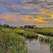 Marsh sunset at Folly Beach by congaree