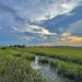 Marsh sunset at Folly Beach by congaree
