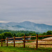 Foggy Morning