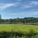 Summer's Day
