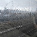 Rainy window
