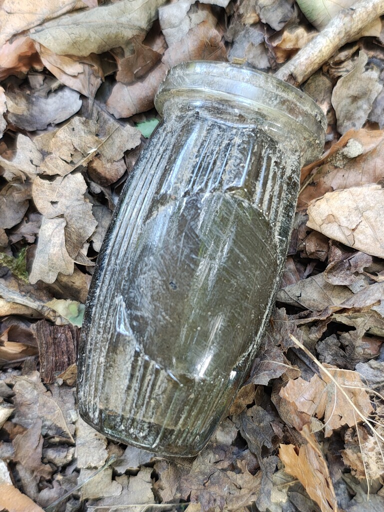 A Fossicking Finds in the Woods by 30pics4jackiesdiamond