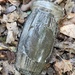 A Fossicking Finds in the Woods