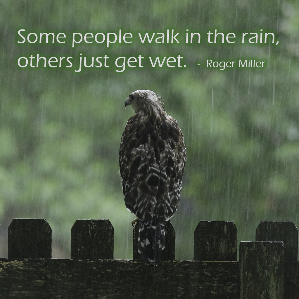 Others Just Get Wet by lsquared