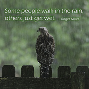 15th Jul 2025 - Others Just Get Wet