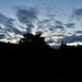 Love this sky