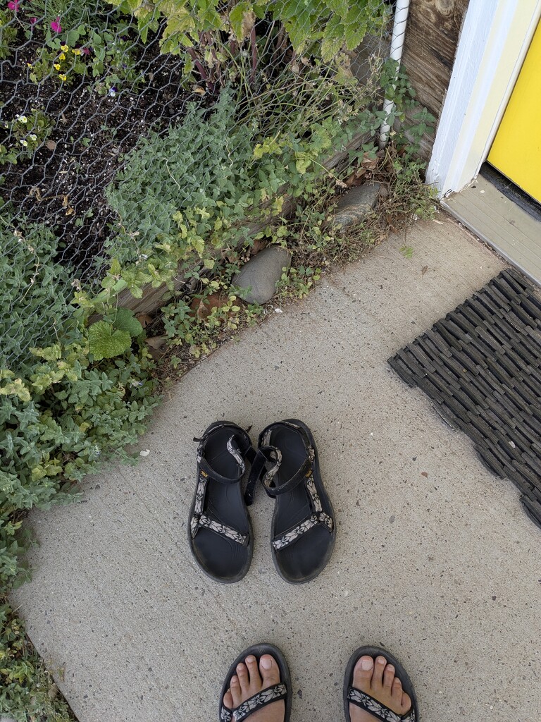 Favorite sandals by wakuwaku