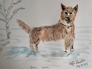 15th Jul 2025 - Portuguese Podengo