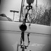Skeletal Reflection
