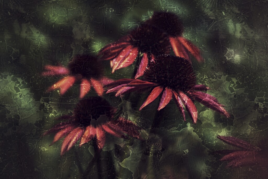 15july by amyk