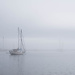 Fog in the Harbor by tosee