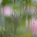 Rain at Last! by fishers