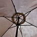 Seeking shade