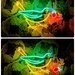 Strawberry thief in neon  by boxplayer