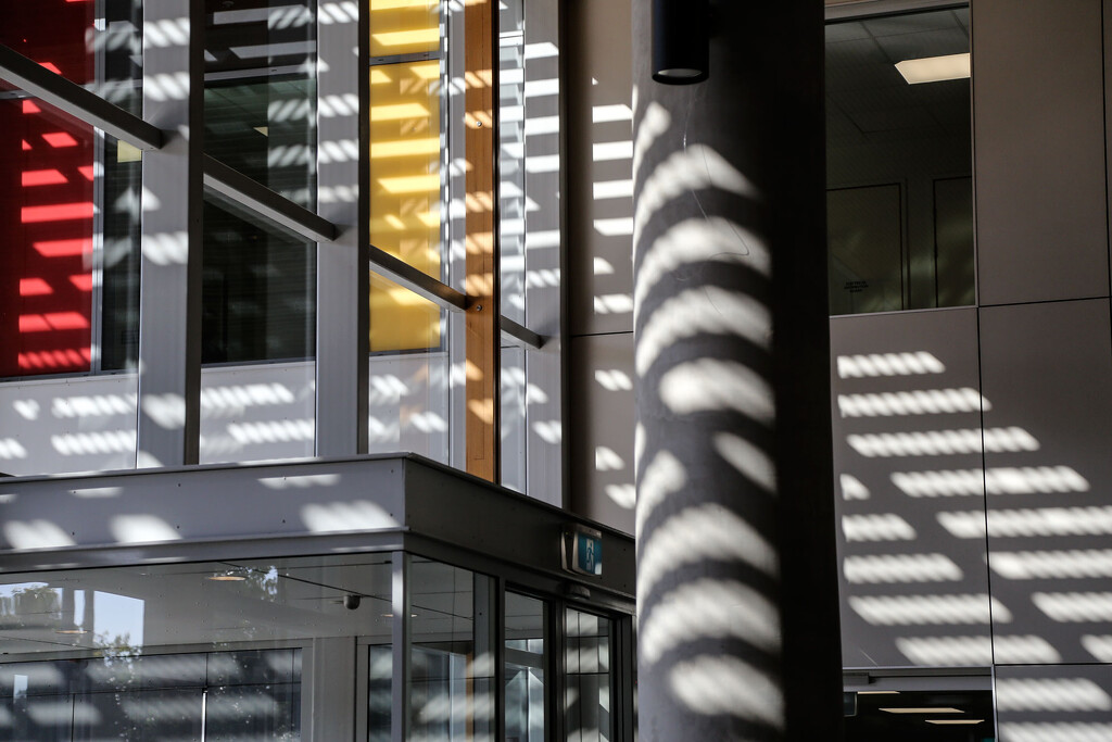 Light and shade - SCUH by jeneurell