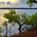 Lewisville Lake #5 by louannwarren