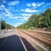 Rail to Nowhere 