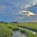 Marsh sky