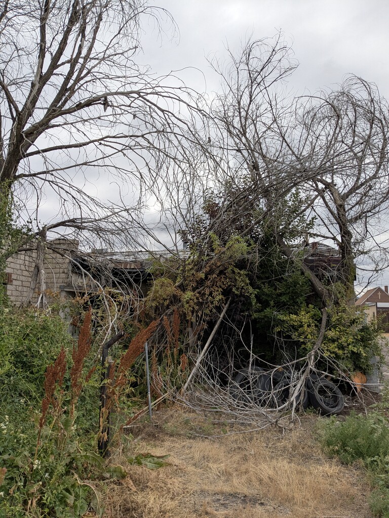 Across from Post Office by wakuwaku