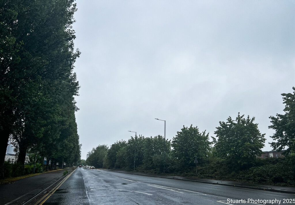 Grey skies  by stuart46