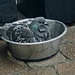 All this hot weather means you have to have a bath where you can  by rosiekind