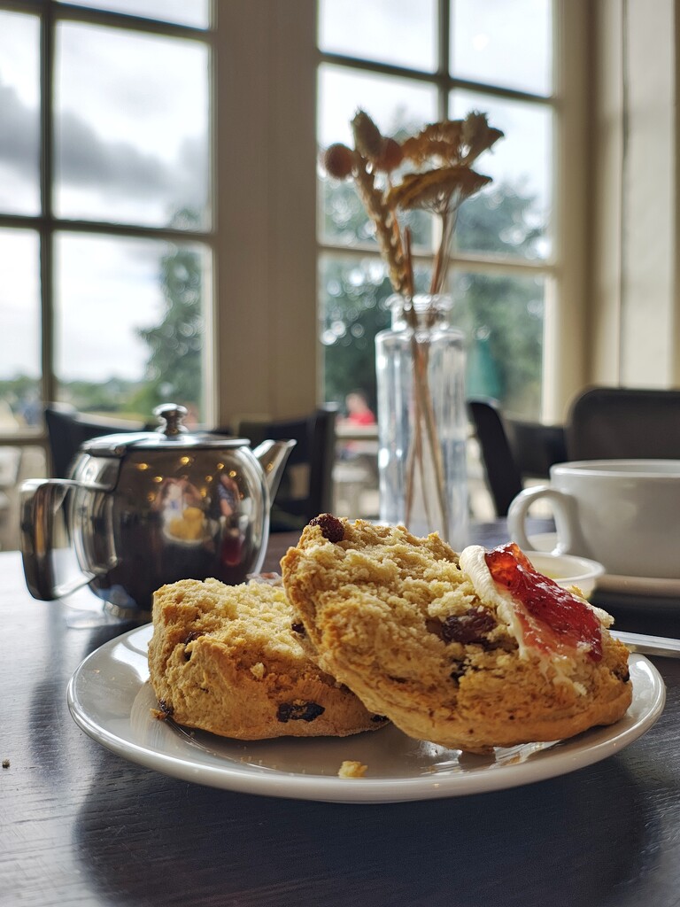 Cream Tea by 30pics4jackiesdiamond