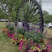 Floral pit wheel