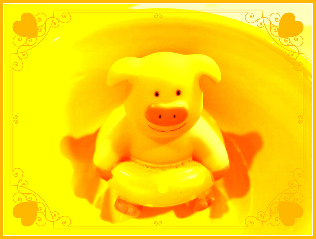 Yellow Pig Day? by olivetreeann
