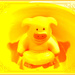 Yellow Pig Day?