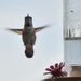 Up, Up and Away!
