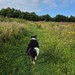 In the field
