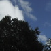 Panoramic Sky