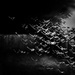 Dancing rain 