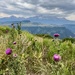 San Juan Mountain Range by kvphoto