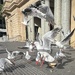 No warning. No mercy. Only the shriek of incoming gulls. by johnfalconer
