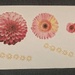 ICAD #48 - July 18th