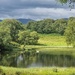 greens by christophercox