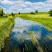 Water way