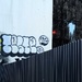 Beyond the fence