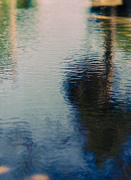 19th Jul 2025 - Palm Puddle 